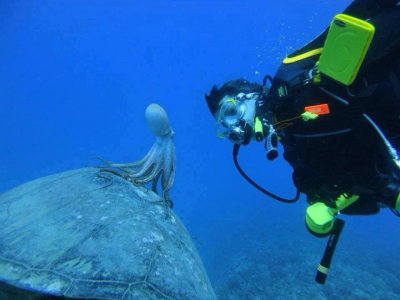 First aid course for diving Tenerife