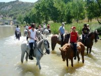 A fantastic horse riding trip