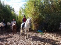 On the horse riding trip