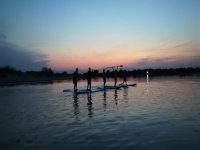 Stand up paddle board in calm waters 