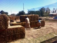 campo de paja