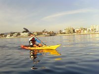  Kayak trips 