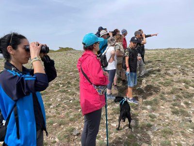 Observação de pássaros e rota na Sierra Nevada