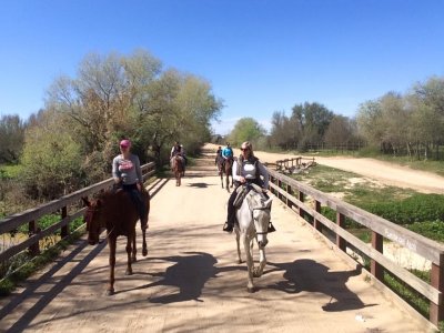 2 rutas a caballo Matalascañas y El Rocío 4 horas