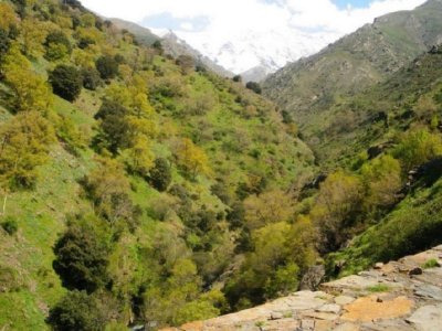 Ruta por la Vereda de la Estrella Sierra Nevada 6h