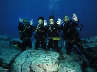 Curso buceo Open Water Diver PADI Tenerife 4 días