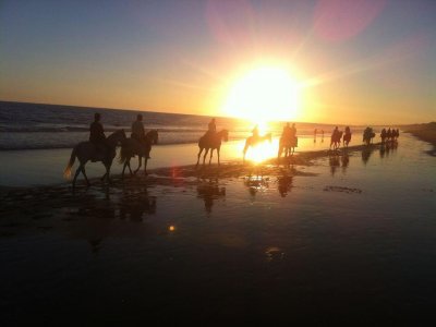 Ruta a caballo al atardecer playa dunas y parque