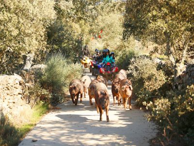 Excursión en quad por 6 horas