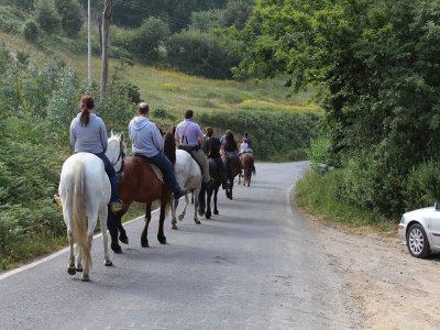 Ruta a caballo en A Coruña media jornada