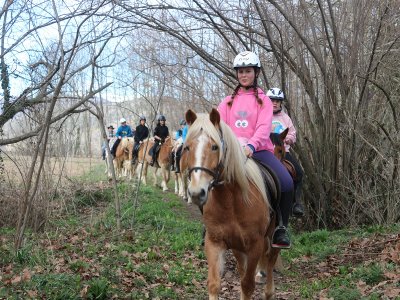 Paseo a caballo Vall d'en Bas 1h pica-pica y clase