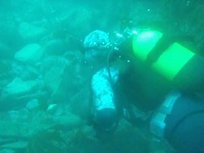 Open Water Diver Course in Viveiro