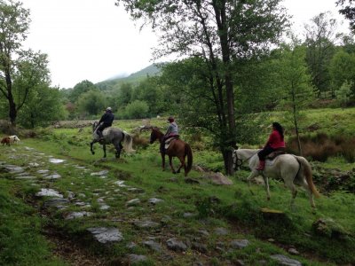 Passeio a cavalo na Serra de Gredos e mini aula 2h