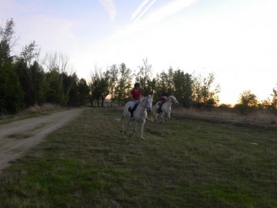 Paseo a caballo 1 hora por Guadalajara