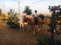  Family horseback ride 