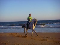  Équitation sur le rivage 