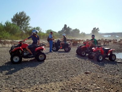Malaga On Board Quads