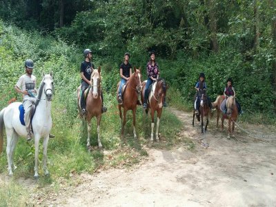 Hípica Òrrius Rutas a Caballo