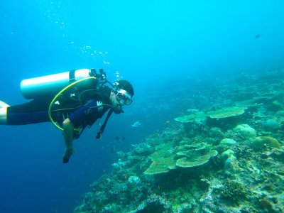 Baco Aventuras Buceo