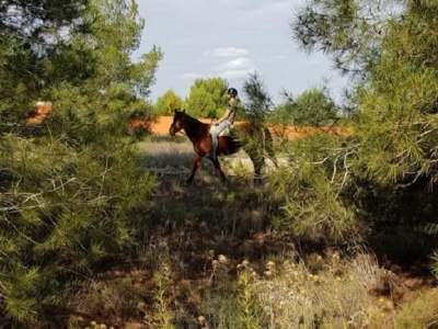 Reitroute zum Naturgebiet Les Rodanes