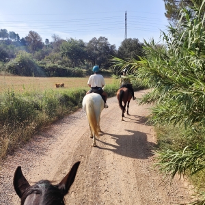 res_o-58868-rutas-a-caballo_de_david-rubio_16900222098790.jpg