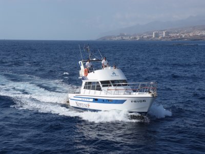 Tenerife Sunshine Pesca