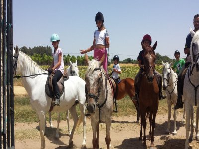 Paseo a caballo por Utrera 1 hora y 30 minutos