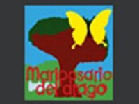 Mariposario del Drago
