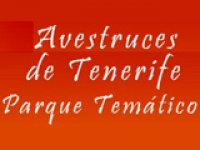 Avestruces de Tenerife