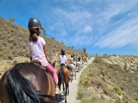 Horse riding camp en route 