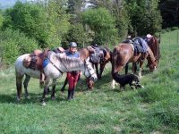  With the horses and the dog 