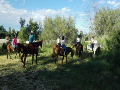 Paseo a caballo por Zaragoza 1 hora