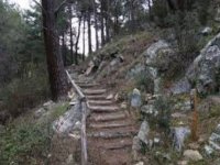  path of stairs in nature 