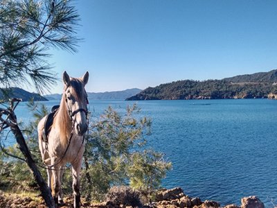 Horseback riding along the river  Pueblo Calera Y Chozas