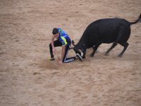  Cuidado com a novilha 