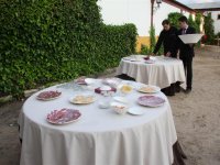  Catering in the gardens 