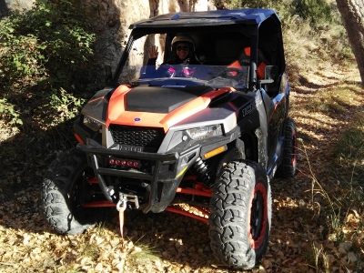 Buggies sensació