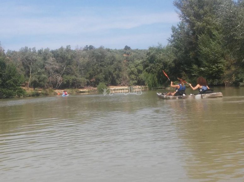 Kayaks en el rio