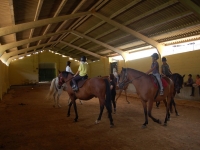  Practicing in the riding arena 