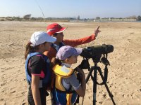 Observation d'oiseaux sur le parcours de kayak 