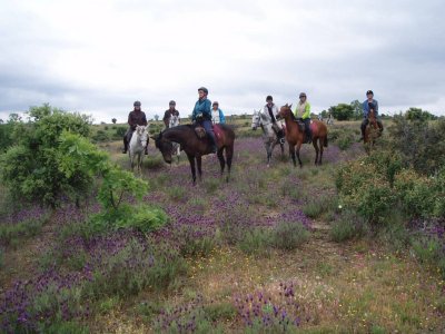 Segovia GastroCultural Rutas a Caballo