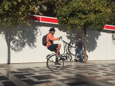 Alquilar bicicleta en el centro de Sevilla 10h