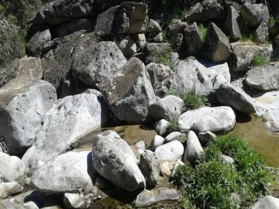 Ruta 4x4 con avistamiento de lince, Sierra Morena