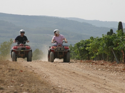 Tour en quad individual por el Penedés 2 horas
