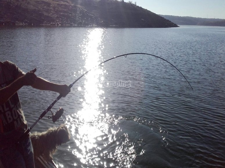 Disfrutando de un dia de pesca desde la embarcacion