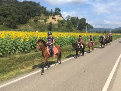 Montar a caballo en La Garrocha con fotos y comida