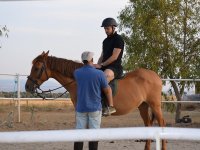 Assis sur le cheval 