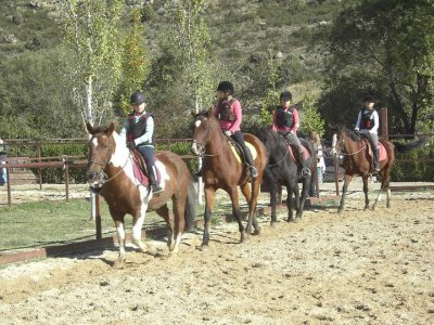 Campo estivo equestre nella Sierra de Madrid