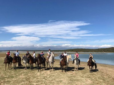 Montar a caballo en Arenas de San Pedro 1 hora