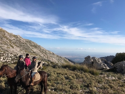 Percorso a cavallo intorno all'isola di Maiorca 90 minuti