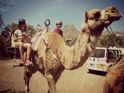 Balade à dos de chameau pour les enfants à Tenerife 20 min